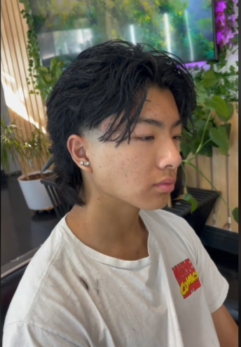 High Fade Wolf Cut Men