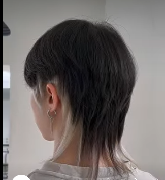 Two-Tone Wolf Cut Men