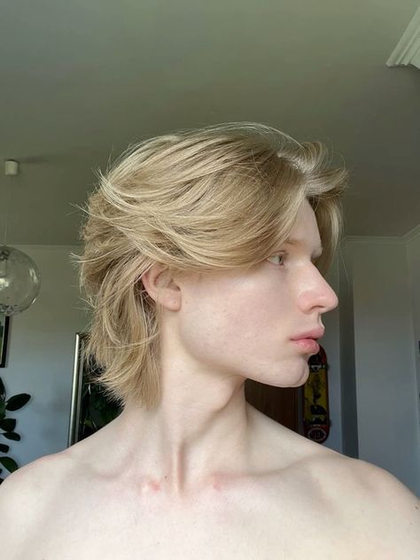 Wolf Cut Men Straight short Hair