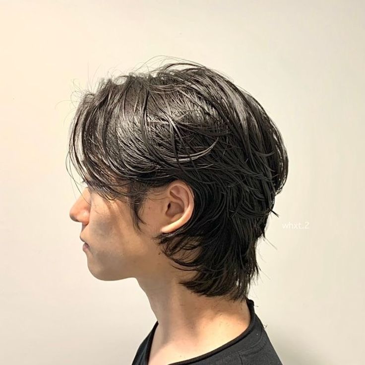 Wolf Cut Men long straight hair