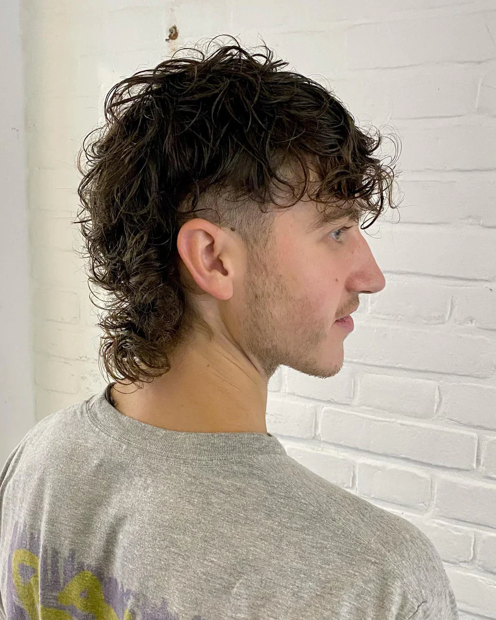 Wolf Mullet Haircut for Men