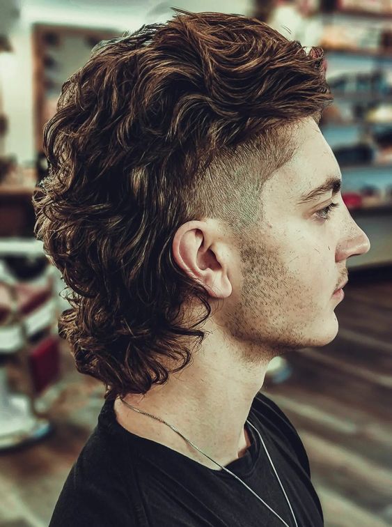 Wolf Mullet Haircut for Men