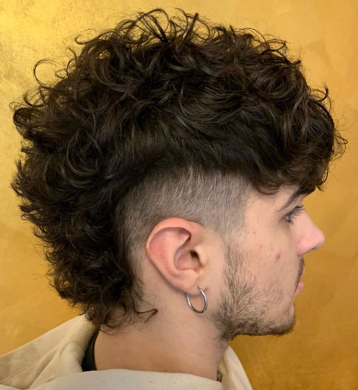 curly mullet fade hairstyle men