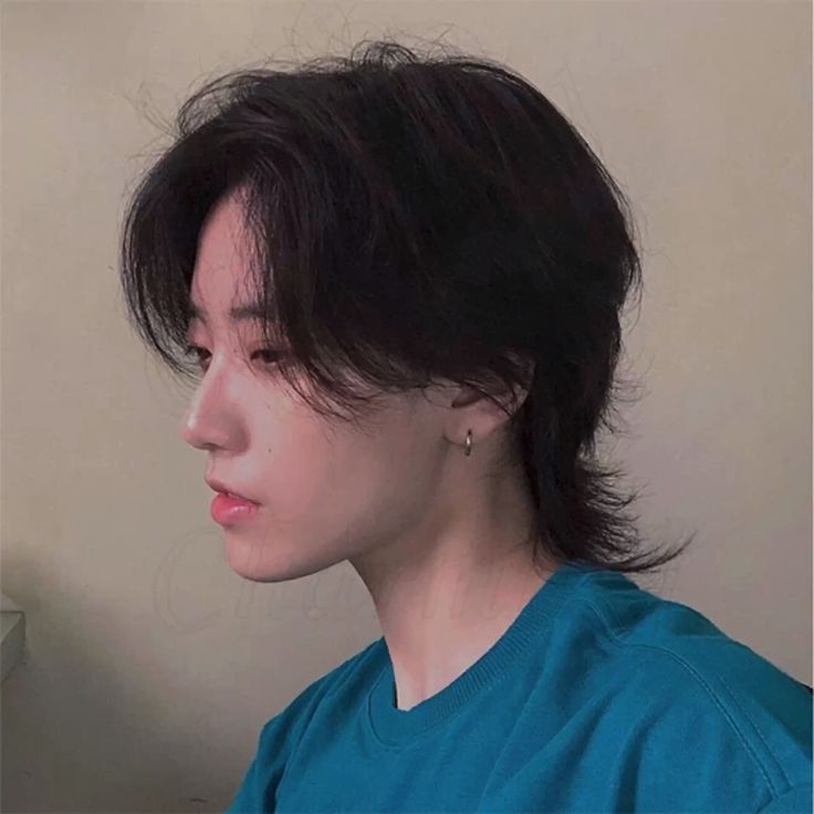 Korean Wolf Cut Men