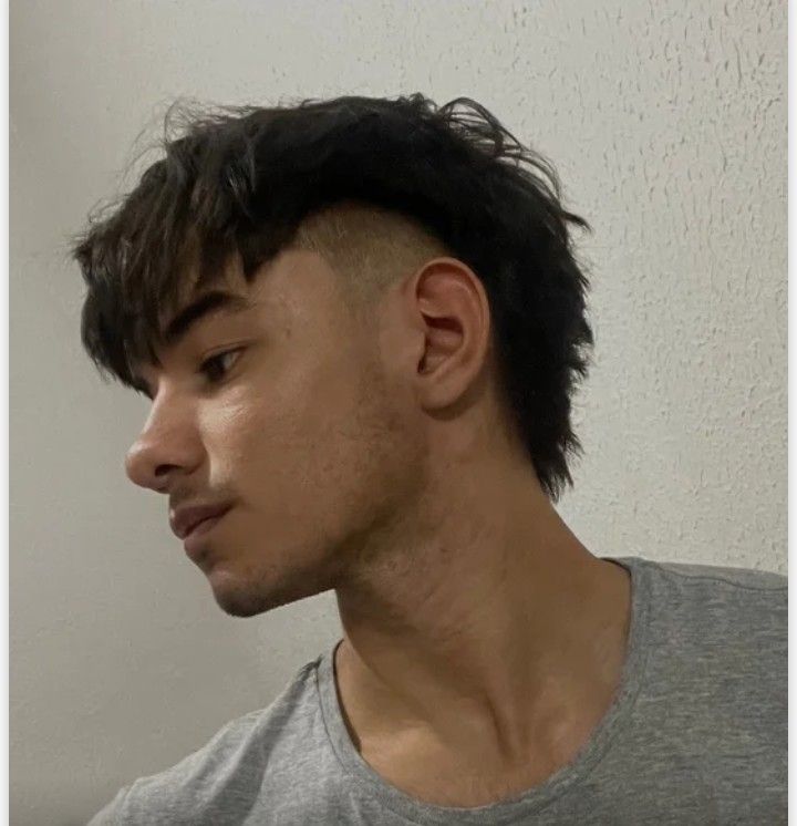 Mullet Fade Haircuts male